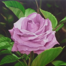rose-violine-50x50.jpg